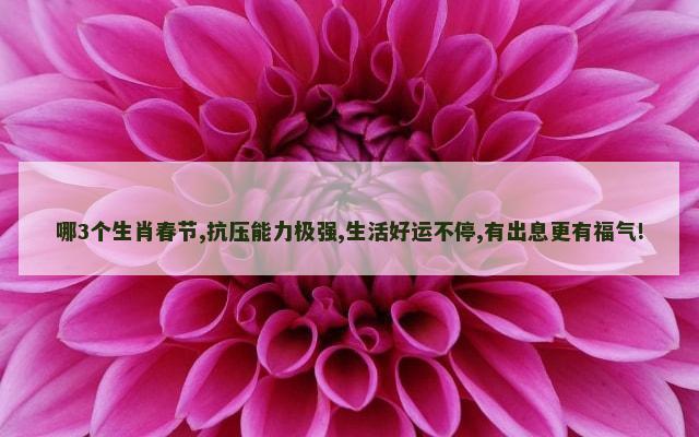 哪3个生肖春节,抗压能力极强,生活好运不停,有出息更有福气!
