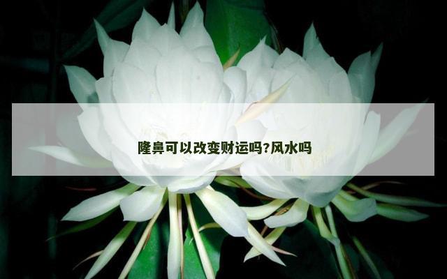 隆鼻可以改变财运吗?风水吗