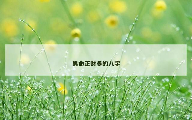 男命正财多的八字