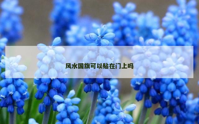 风水国旗可以贴在门上吗