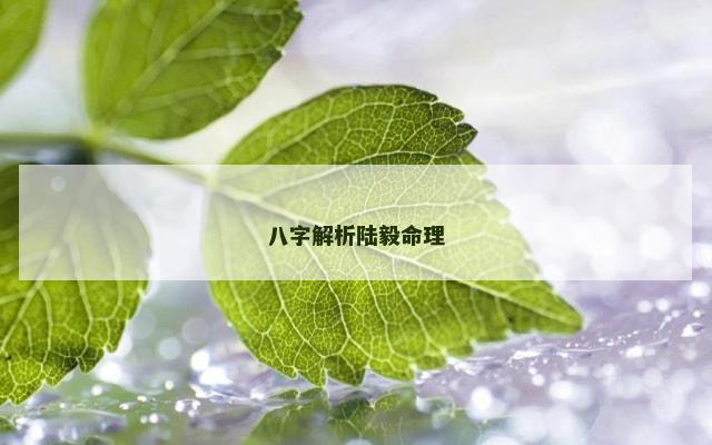 八字解析陆毅命理