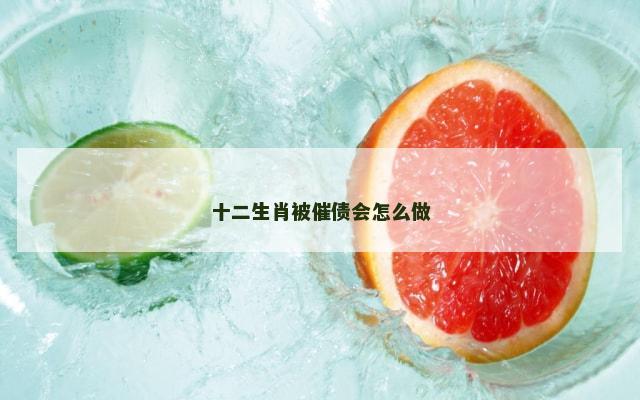 十二生肖被催债会怎么做