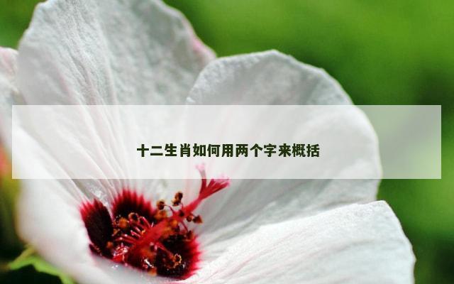 十二生肖如何用两个字来概括