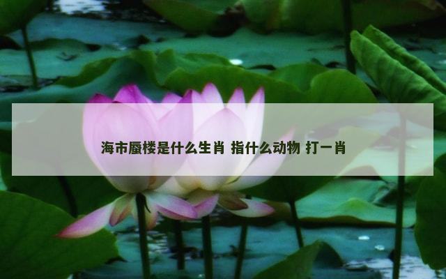 海市蜃楼是什么生肖 指什么动物 打一肖