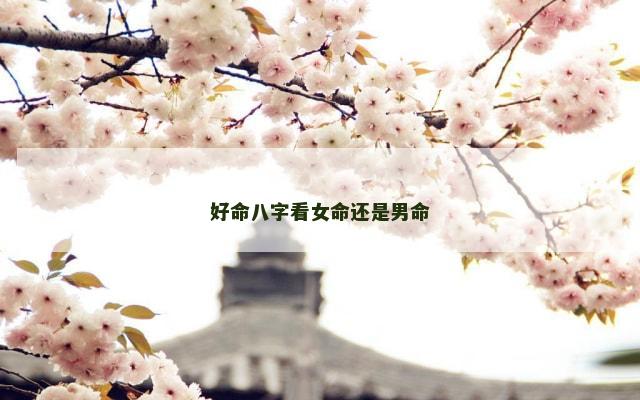 好命八字看女命还是男命