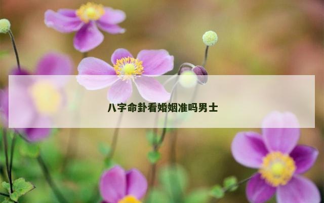 八字命卦看婚姻准吗男士