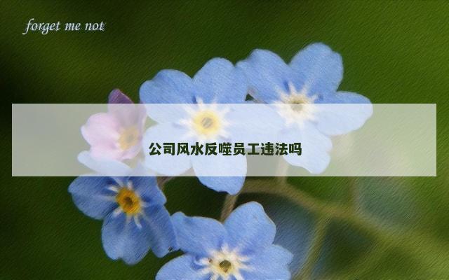 公司风水反噬员工违法吗