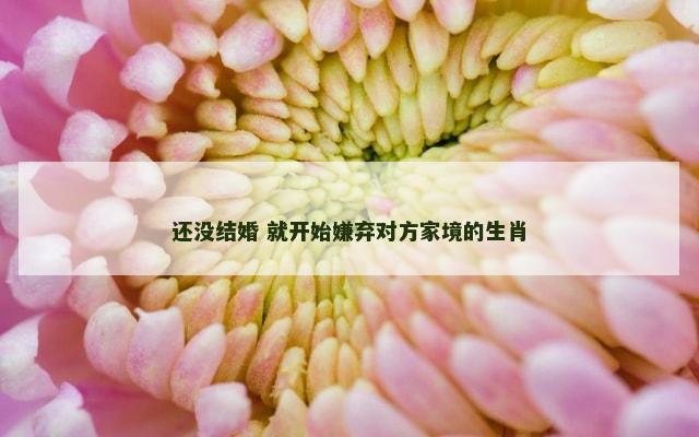 还没结婚 就开始嫌弃对方家境的生肖