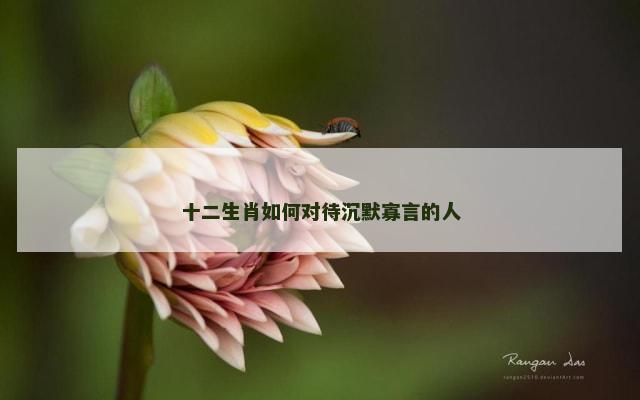 十二生肖如何对待沉默寡言的人