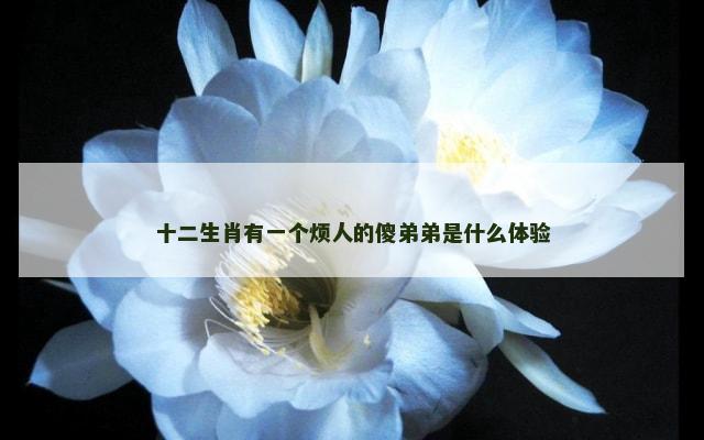 十二生肖有一个烦人的傻弟弟是什么体验