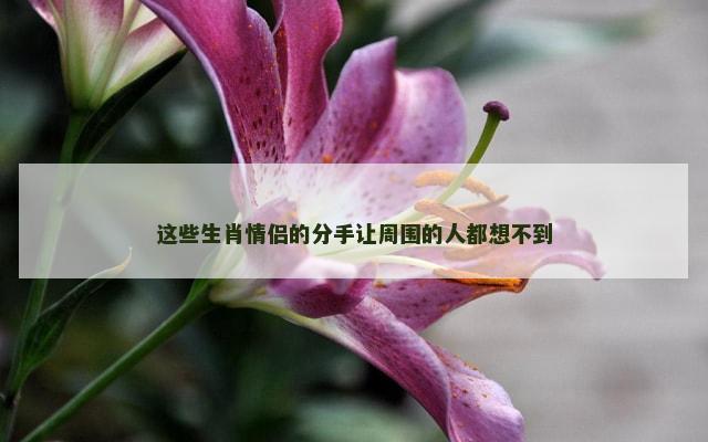 这些生肖情侣的分手让周围的人都想不到