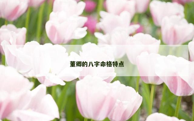 董卿的八字命格特点