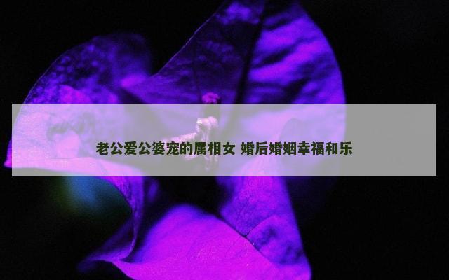 老公爱公婆宠的属相女 婚后婚姻幸福和乐