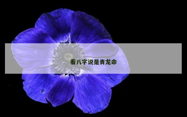 看八字说是青龙命