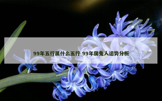 99年五行属什么五行 99年属兔人运势分析