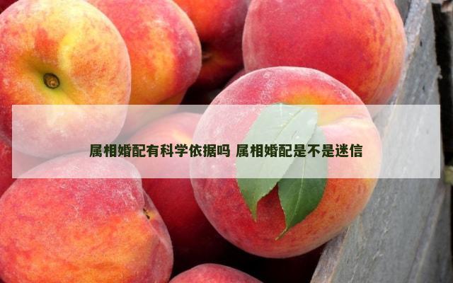 属相婚配有科学依据吗 属相婚配是不是迷信