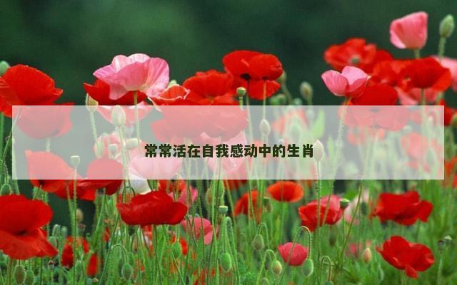 常常活在自我感动中的生肖