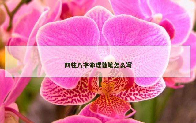 四柱八字命理随笔怎么写