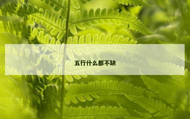 五行什么都不缺
