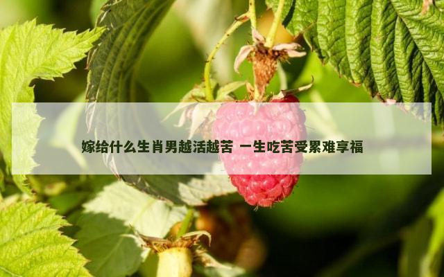 嫁给什么生肖男越活越苦 一生吃苦受累难享福