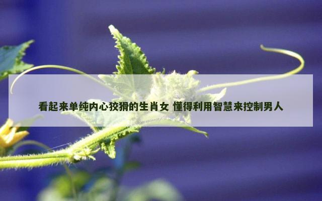 看起来单纯内心狡猾的生肖女 懂得利用智慧来控制男人