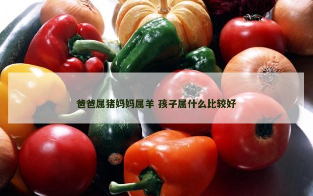 爸爸属猪妈妈属羊 孩子属什么比较好