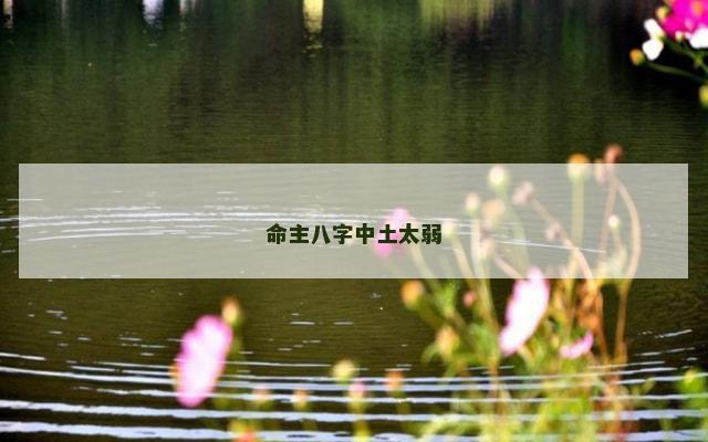 命主八字中土太弱