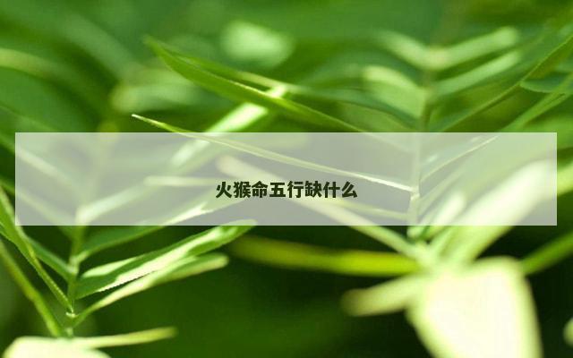 火猴命五行缺什么