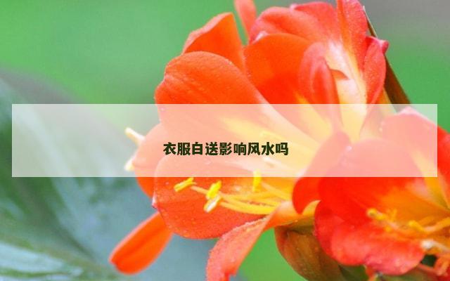 衣服白送影响风水吗