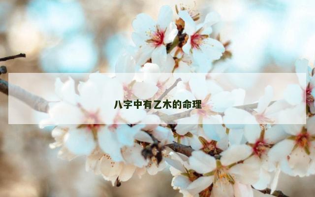 八字中有乙木的命理
