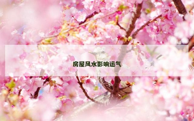 房屋风水影响运气