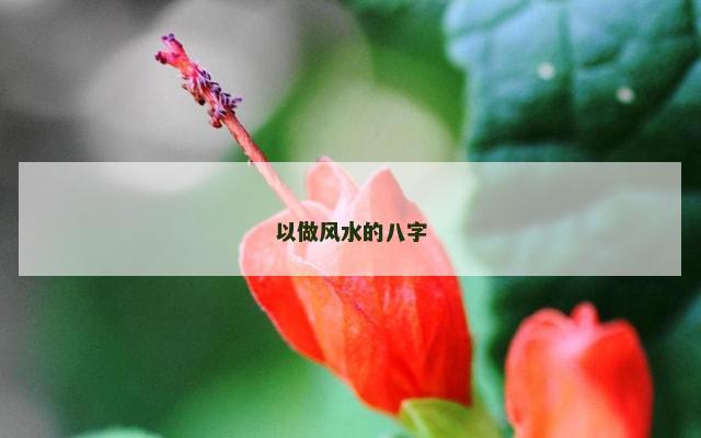 以做风水的八字