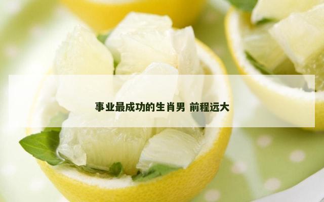 事业最成功的生肖男 前程远大