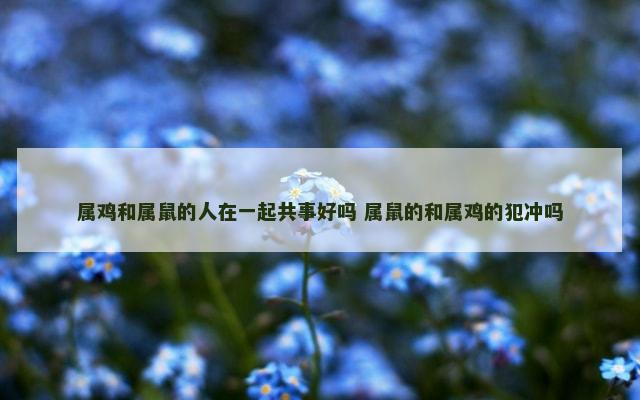 属鸡和属鼠的人在一起共事好吗 属鼠的和属鸡的犯冲吗