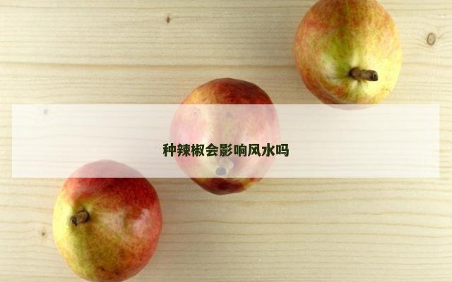 种辣椒会影响风水吗
