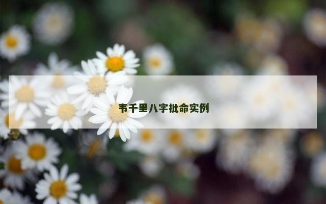 韦千里八字批命实例