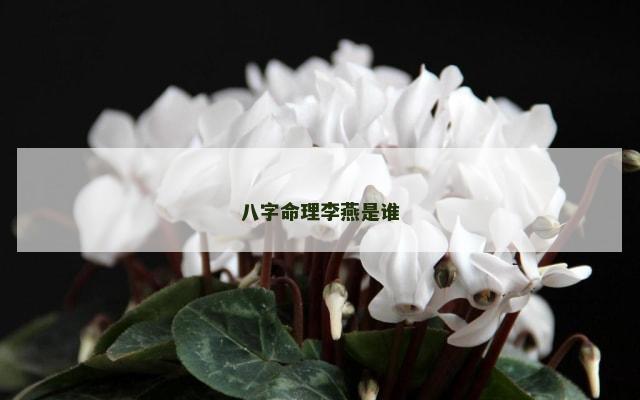 八字命理李燕是谁