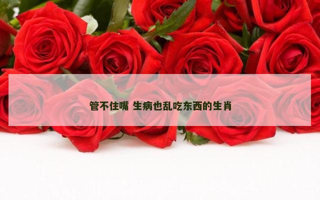 管不住嘴 生病也乱吃东西的生肖