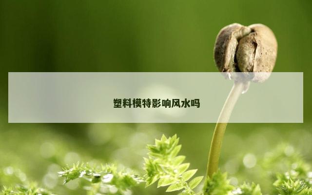 塑料模特影响风水吗