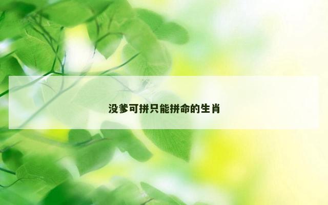 没爹可拼只能拼命的生肖