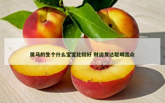 属马的生个什么宝宝比较好 财运发达聪明出众