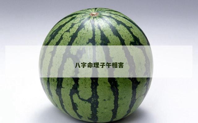 八字命理子午相害