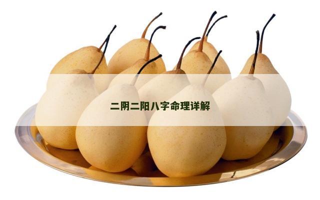二阴二阳八字命理详解