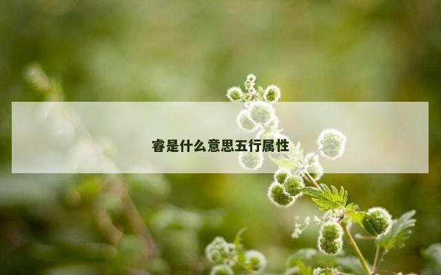 睿是什么意思五行属性