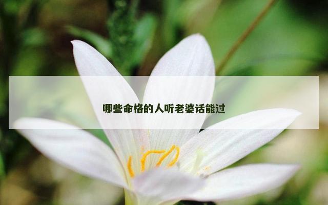 哪些命格的人听老婆话能过