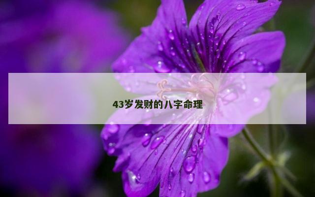 43岁发财的八字命理