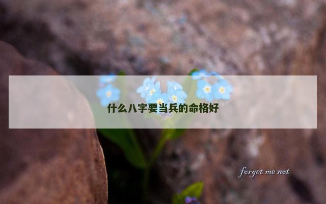 什么八字要当兵的命格好