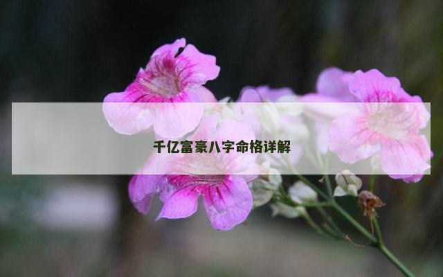 千亿富豪八字命格详解