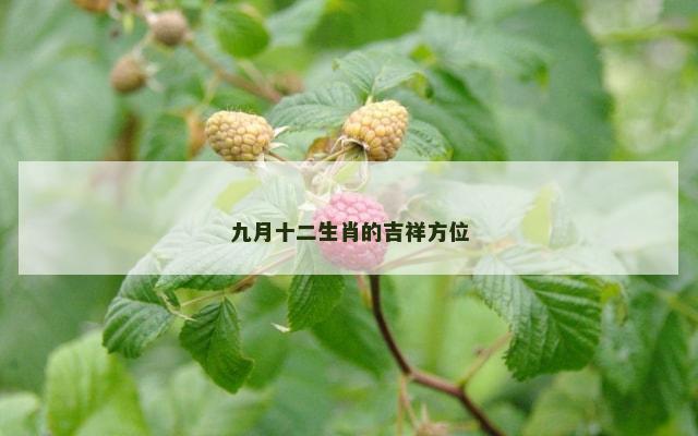 九月十二生肖的吉祥方位