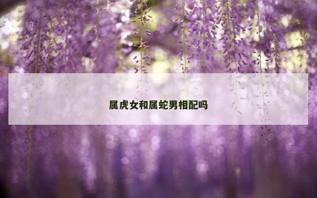属虎女和属蛇男相配吗